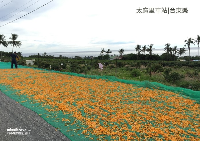 【台灣火車環島】挑戰60小時|22車站紀念章|D2遊記|潮州 - 第6張圖