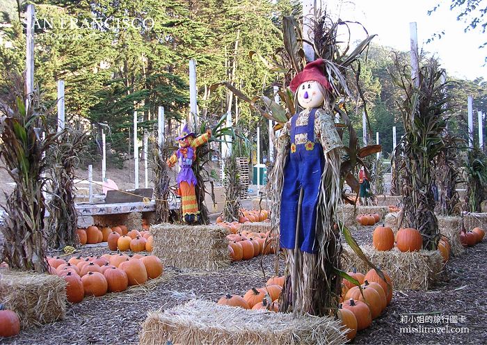 【美國】舊金山|明信片16張|自由行旅行規劃與旅遊靈感 - 第14張圖