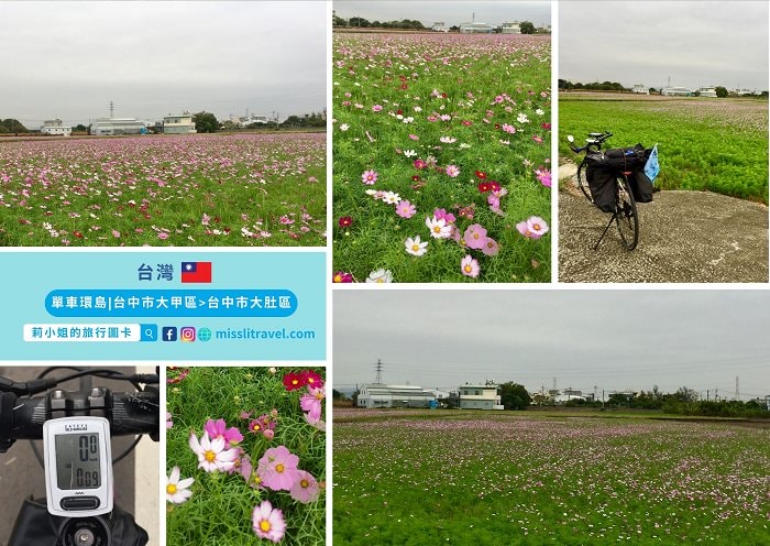 【台灣單車環島】單車新手|D14環島成功|白沙屯到台中 - 第8張圖